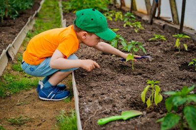 Top 5 plants for children to grow