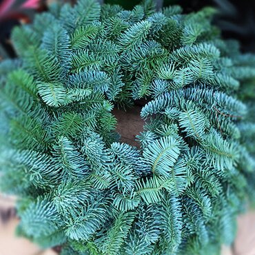 Handmade Wreath on 8" Fir Base (undecorated)