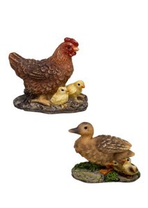 Hen & Duck Family