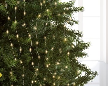 LED bunch for decorating a 240cm tree