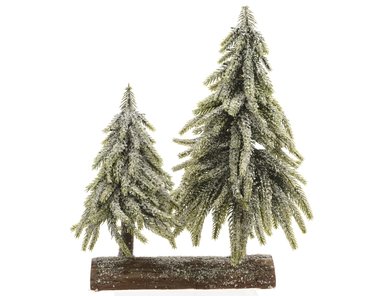 Mini indoor tree duo on wood base