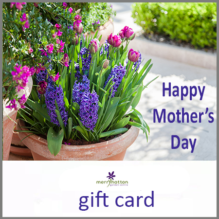 Mother's Day e-Gift Voucher