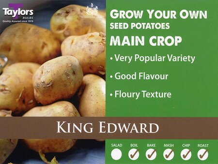 Potato King Edward Taster Pack