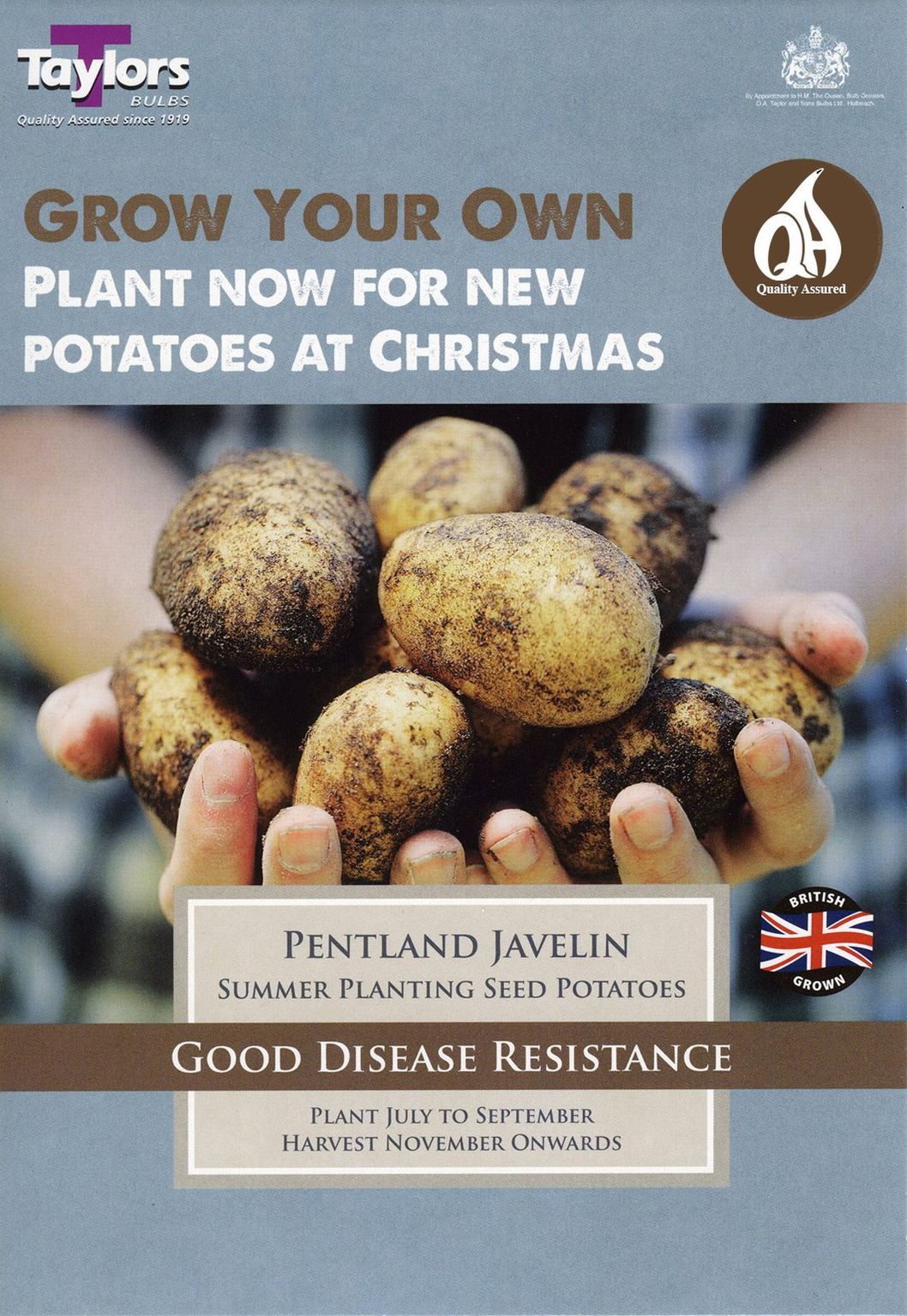 Potato Pentland Javelin Taster Pack - Merryhatton Garden Centre