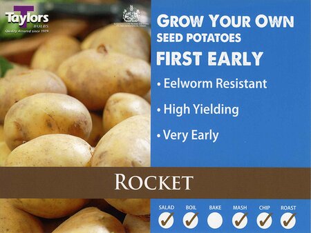 Potato Rocket Taster Pack